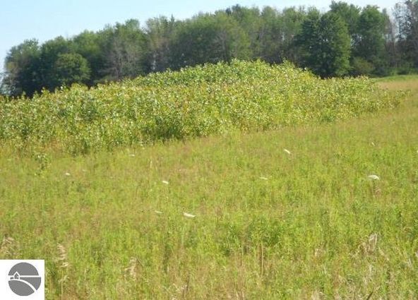 TBD E Stevenson Lake Road: E Stevenson Lake Road, Clare, MI 48617